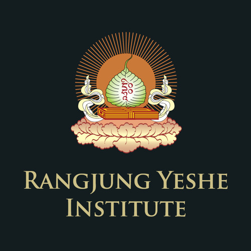 RYI logo